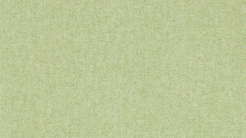 Sessile Plain 217248